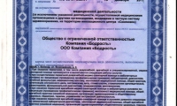 Бодрость